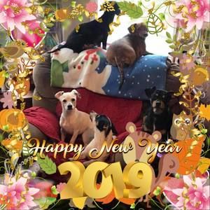 Meet your Posher, Denise